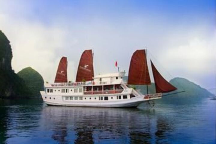 Flamingo Luxury Cruises