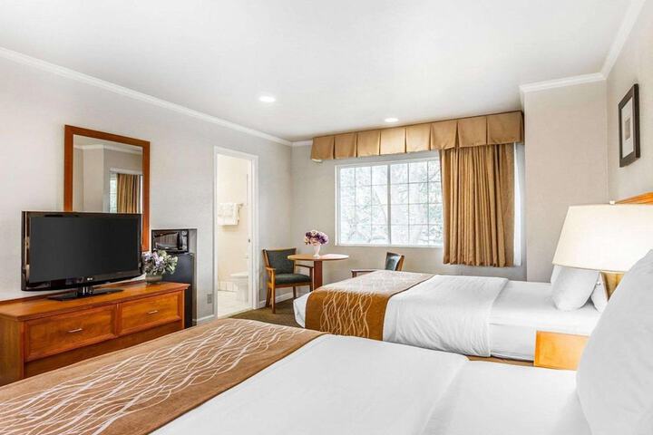 Double Accessible King Size Bed (13 of 15)