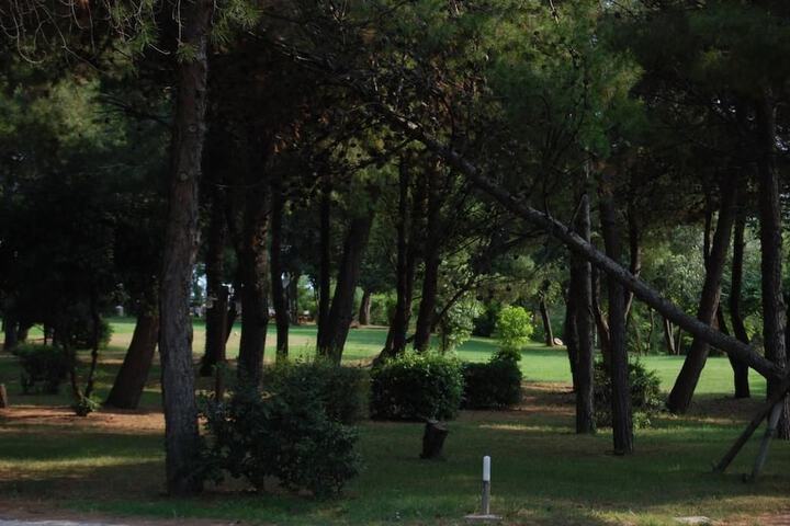 Property Grounds 15 of 31