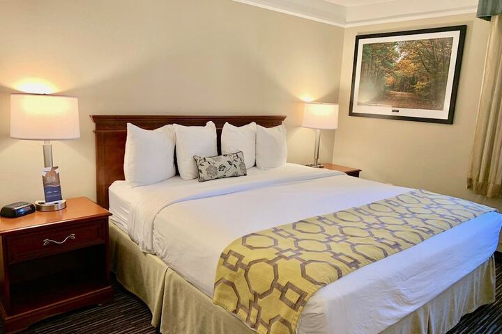 1 King Bed (6 of 15)