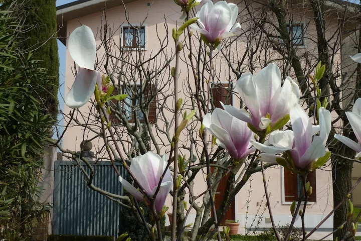 Appartamenti Il Giardino Alberato