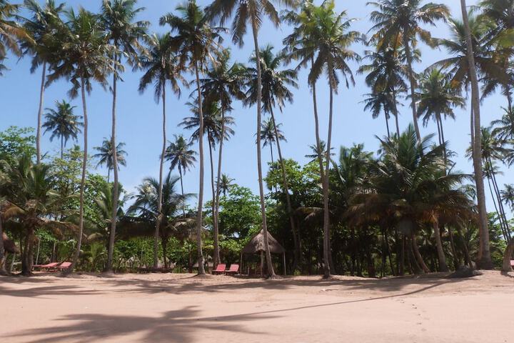 Beach 44 of 57