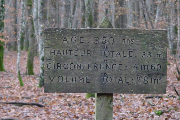 General 43 of 55