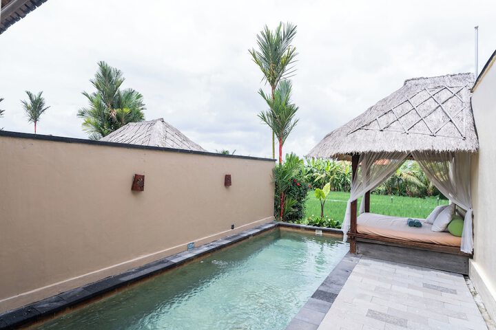 Hotel Pool