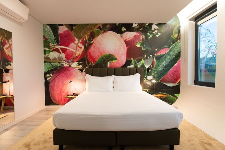 Room 6 of 65