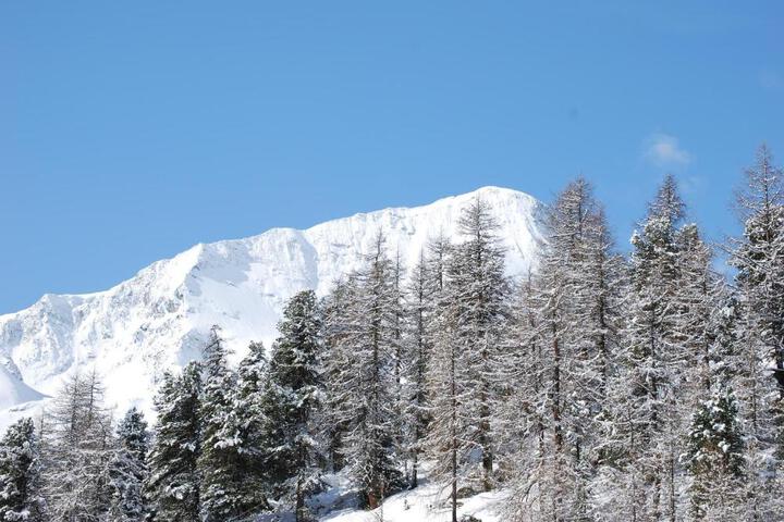 Photo 21