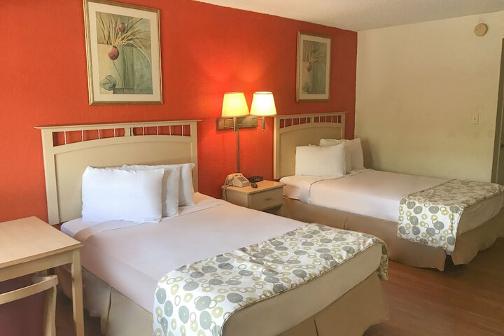 1 King Bed (3 of 6)