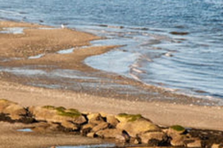 Beach 7 of 24