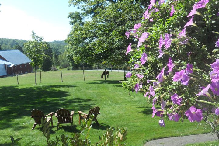 Property Grounds 143 of 191