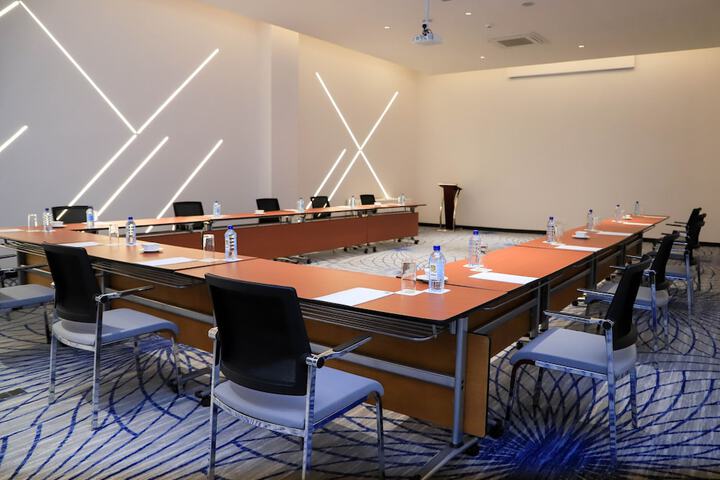 Meeting 29 of 34