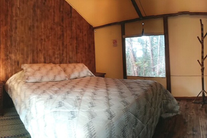 Room 5 of 37