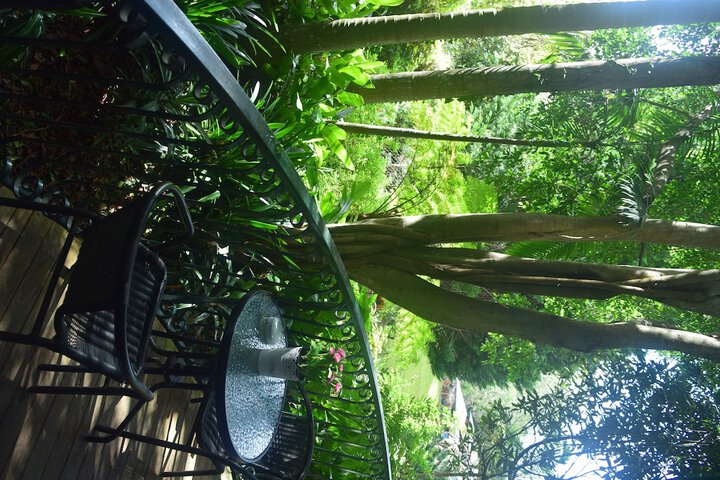 Terrace/Patio 16 of 16