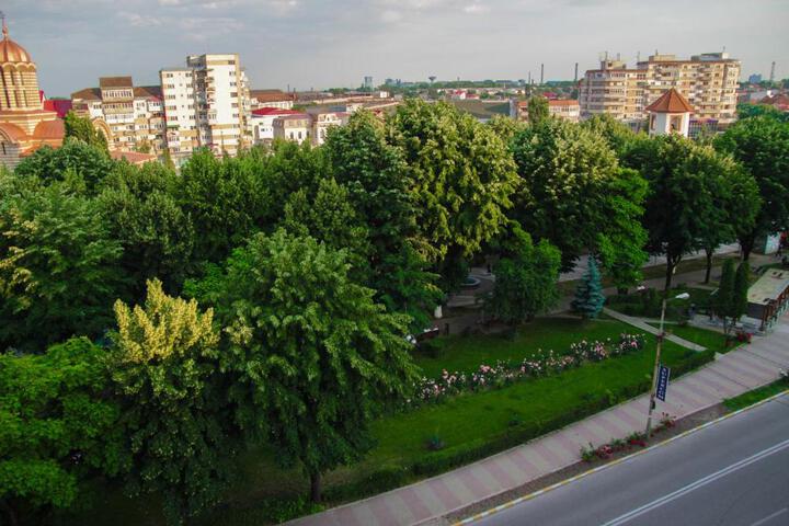 Photo 26