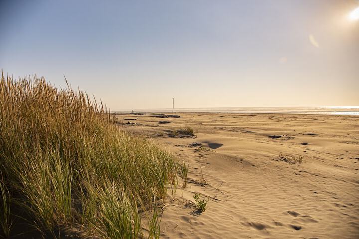 Beach 47 of 70