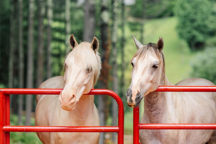 Childrens Activities 81 of 101