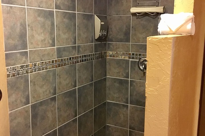 Bathroom shower