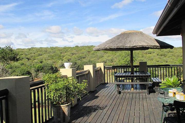 Aloe and Elephant Lodge in Port Elizabeth
