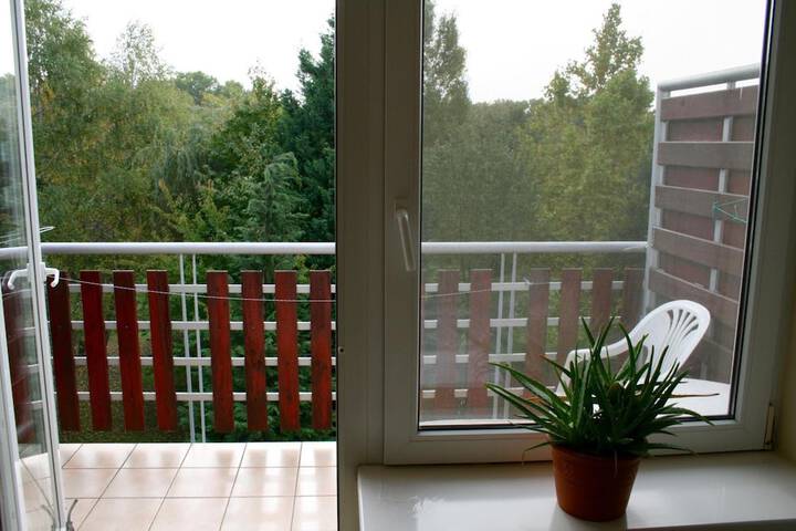 Terrace/Patio 18 of 30