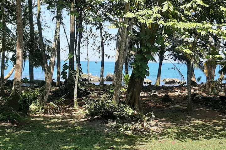 Property Grounds 33 of 47