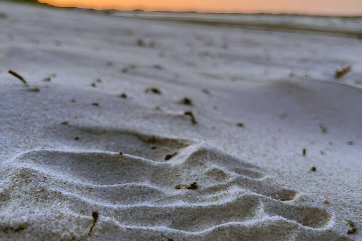 Beach 69 of 84