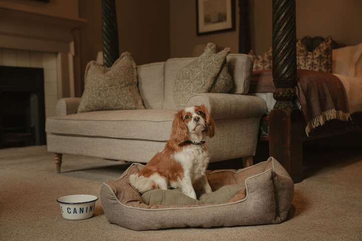 Room 5 of 57