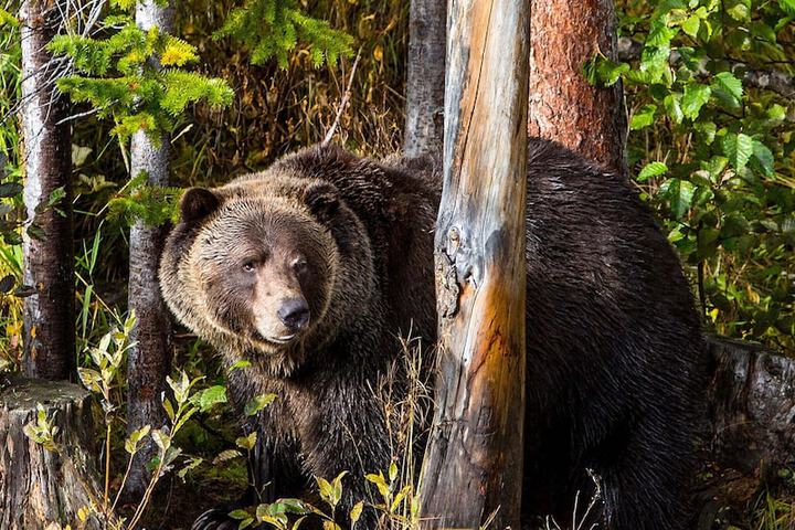 Outdoor Activities 10 of 16