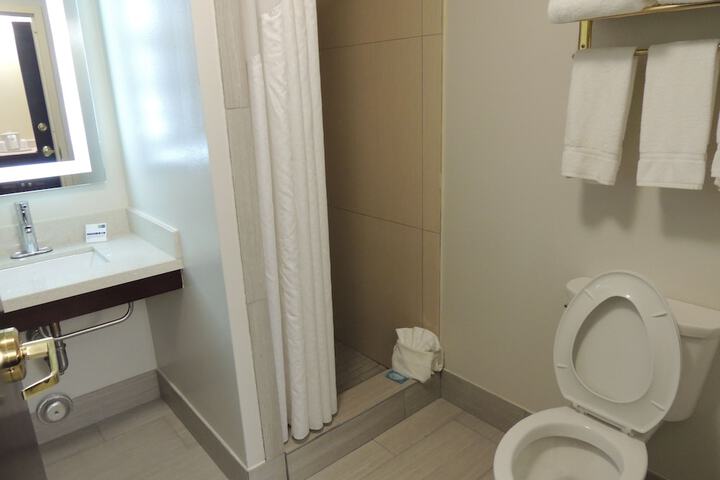 1 King Bed Suite (18 of 23)