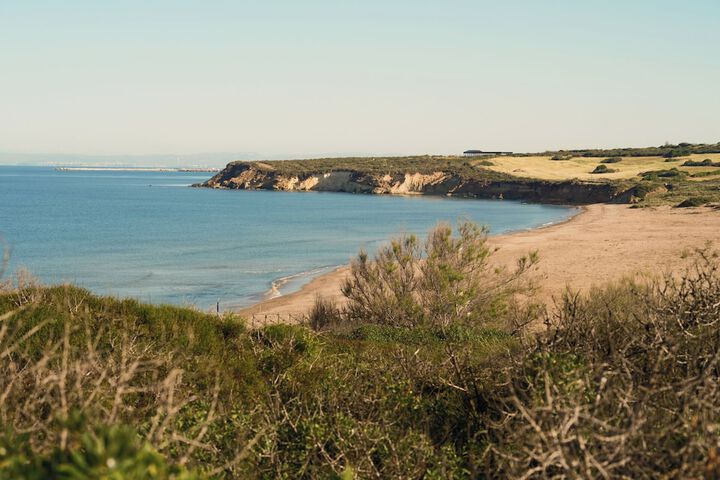 Beach 55 of 60