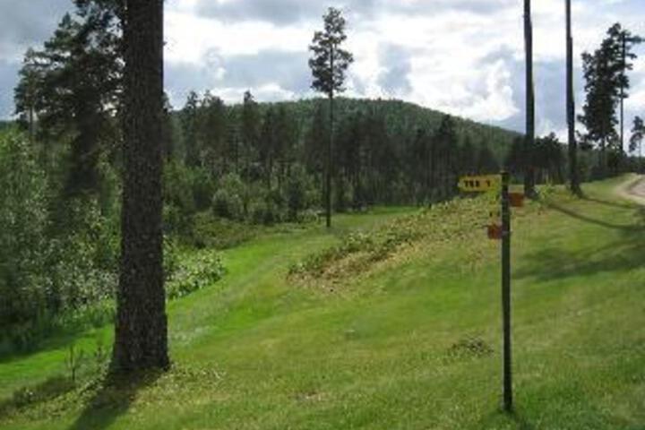 Photo 13