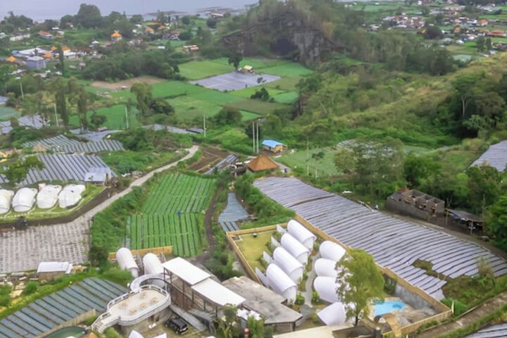 Photo of The Dewi Kintamani