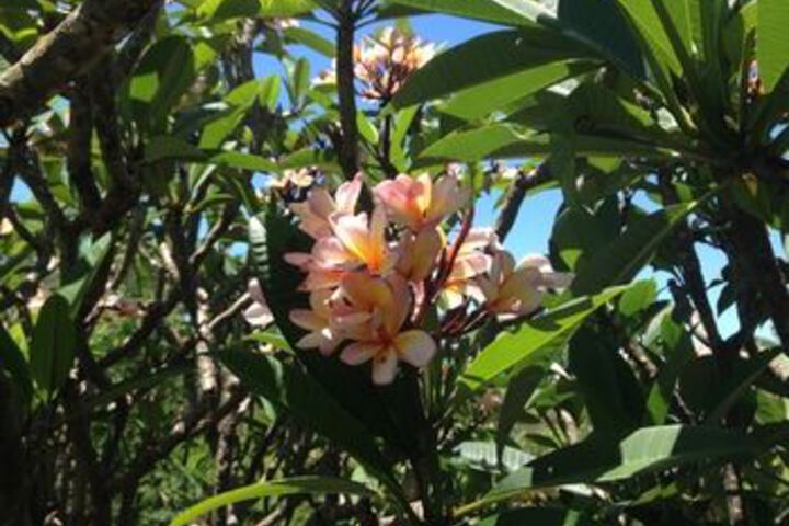 Hotel Exterior 5 of 14