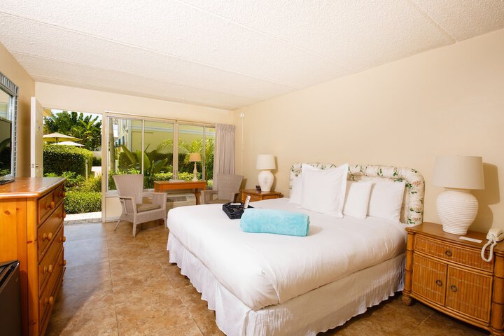Non View 1 King Bed (9 of 17)