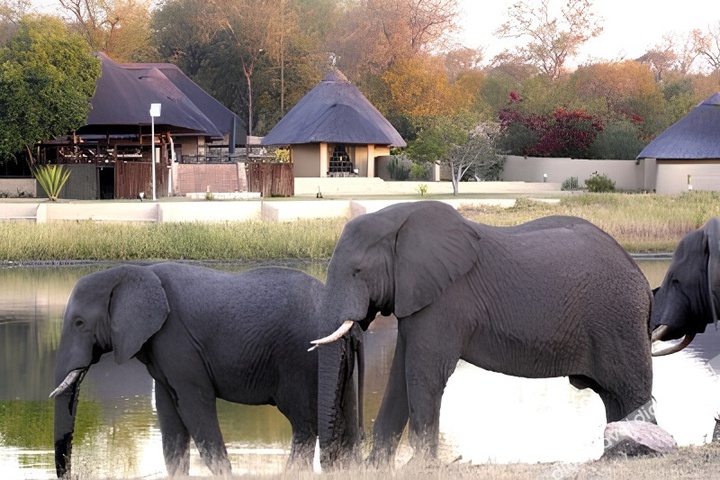 Exterior of Arathusa Safari Lodge