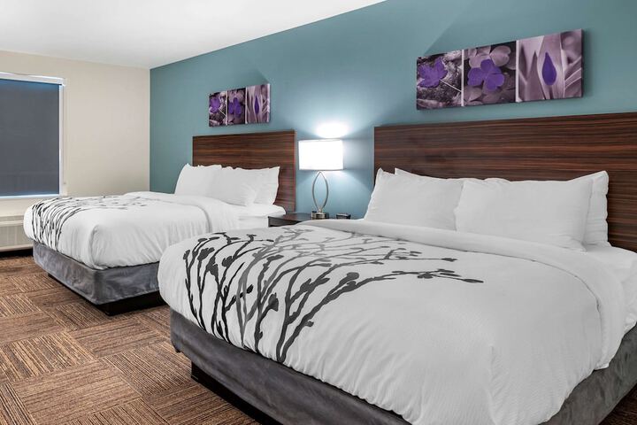 2 Queen Beds (3 of 8)