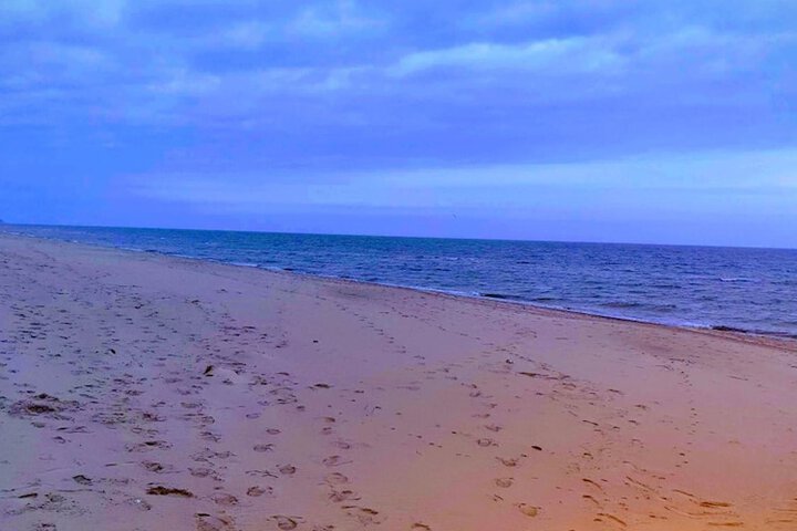 Beach 25 of 35