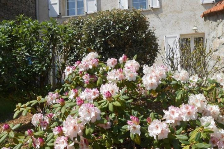 LA GRANGE AUX HIRONDELLES