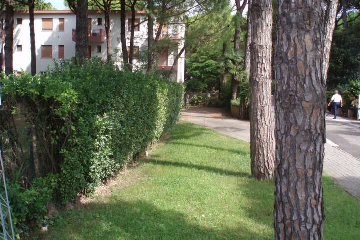 Property Grounds 15 of 17