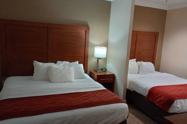 Basic Room 1 Queen Bed (3 of 22)