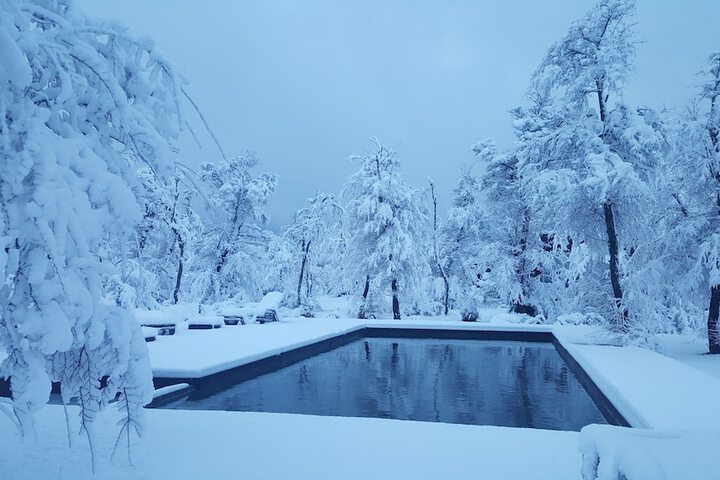 Pool 36 of 99