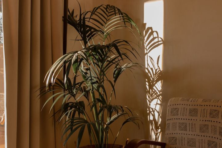 Room 26 of 85