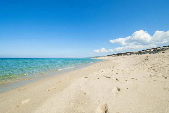 Beach 12 of 16