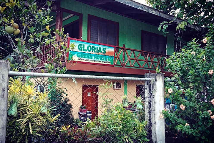 Glorias Green House