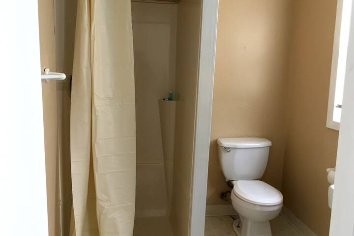 Standard Room, King or Two Doubles (3 of 10)