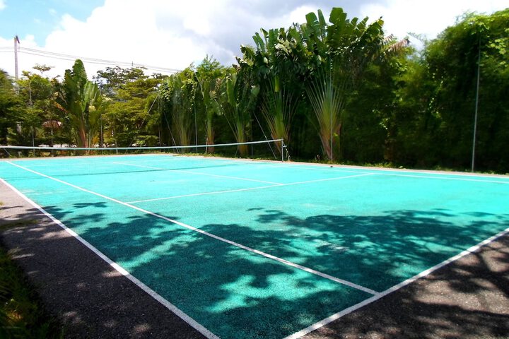 Tennis court