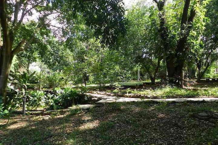 Property Grounds 57 of 78