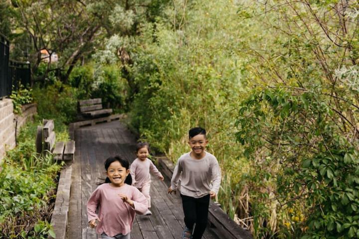 Property Grounds 47 of 56