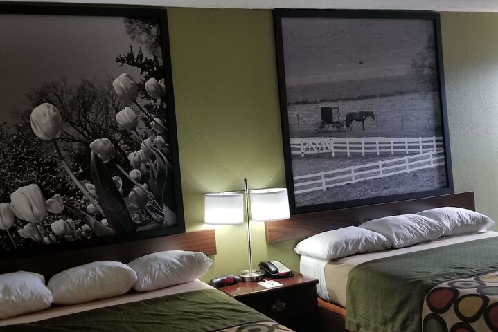 2 Queen Beds (8 of 18)