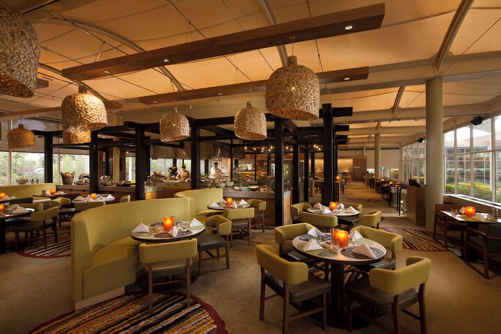 Dining 8 of 12