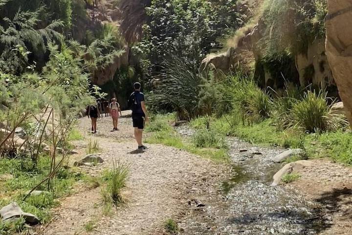 Outdoor Activities 18 of 30