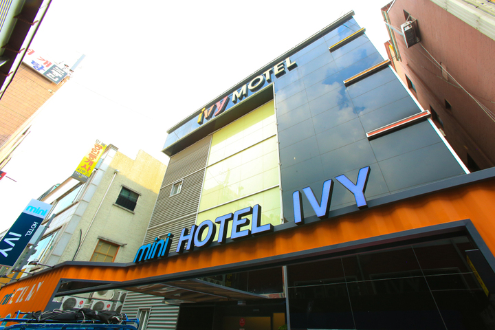 mini hotel IVY